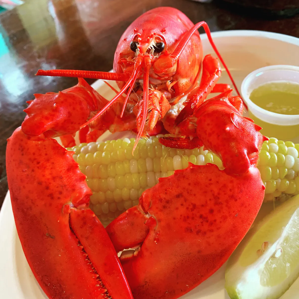 a close up of food on a plate