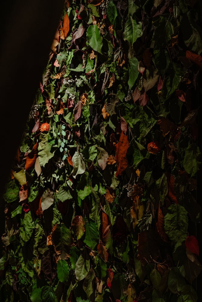 leaves and flowers on a dark background