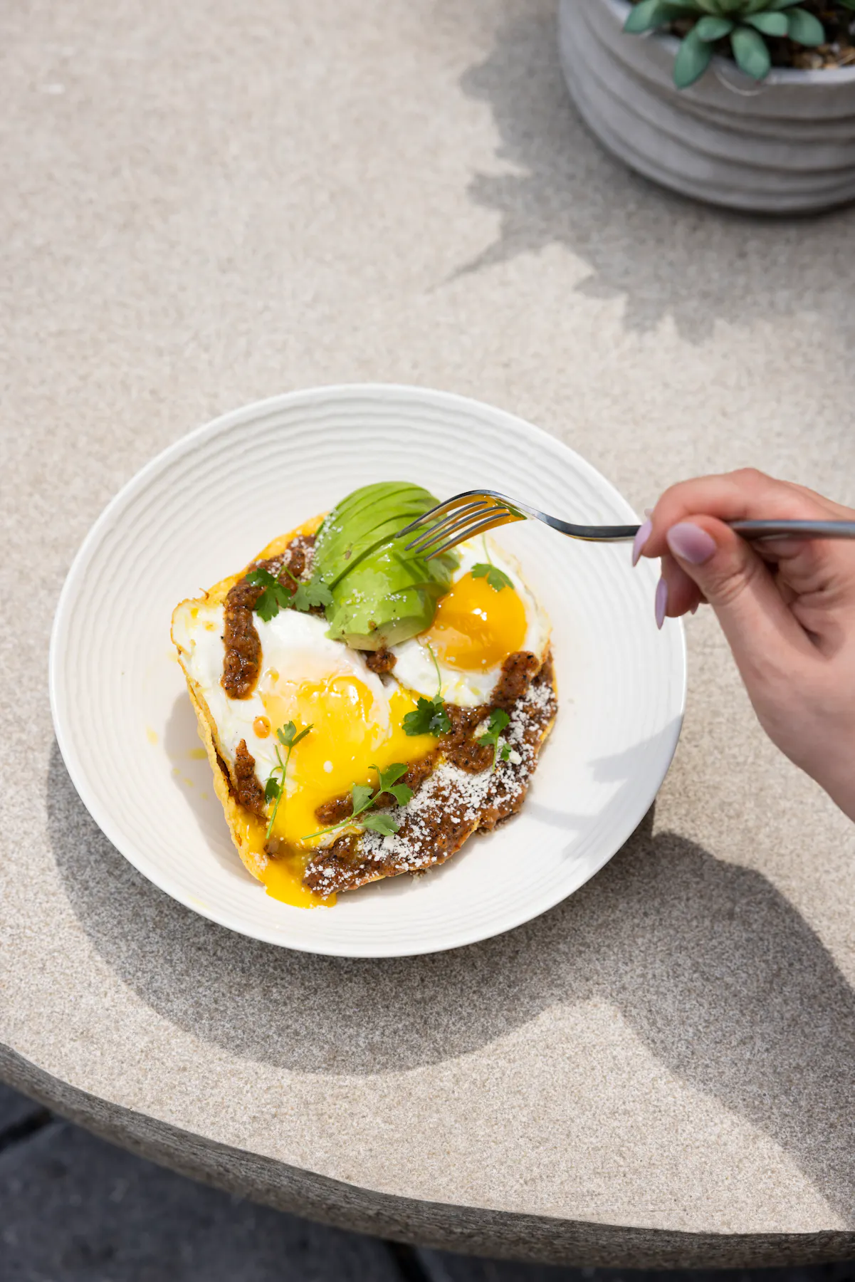 Syn Rooftop Bar Reston Brunch | Syn | Rooftop Bar & Lounge in Reston, VA