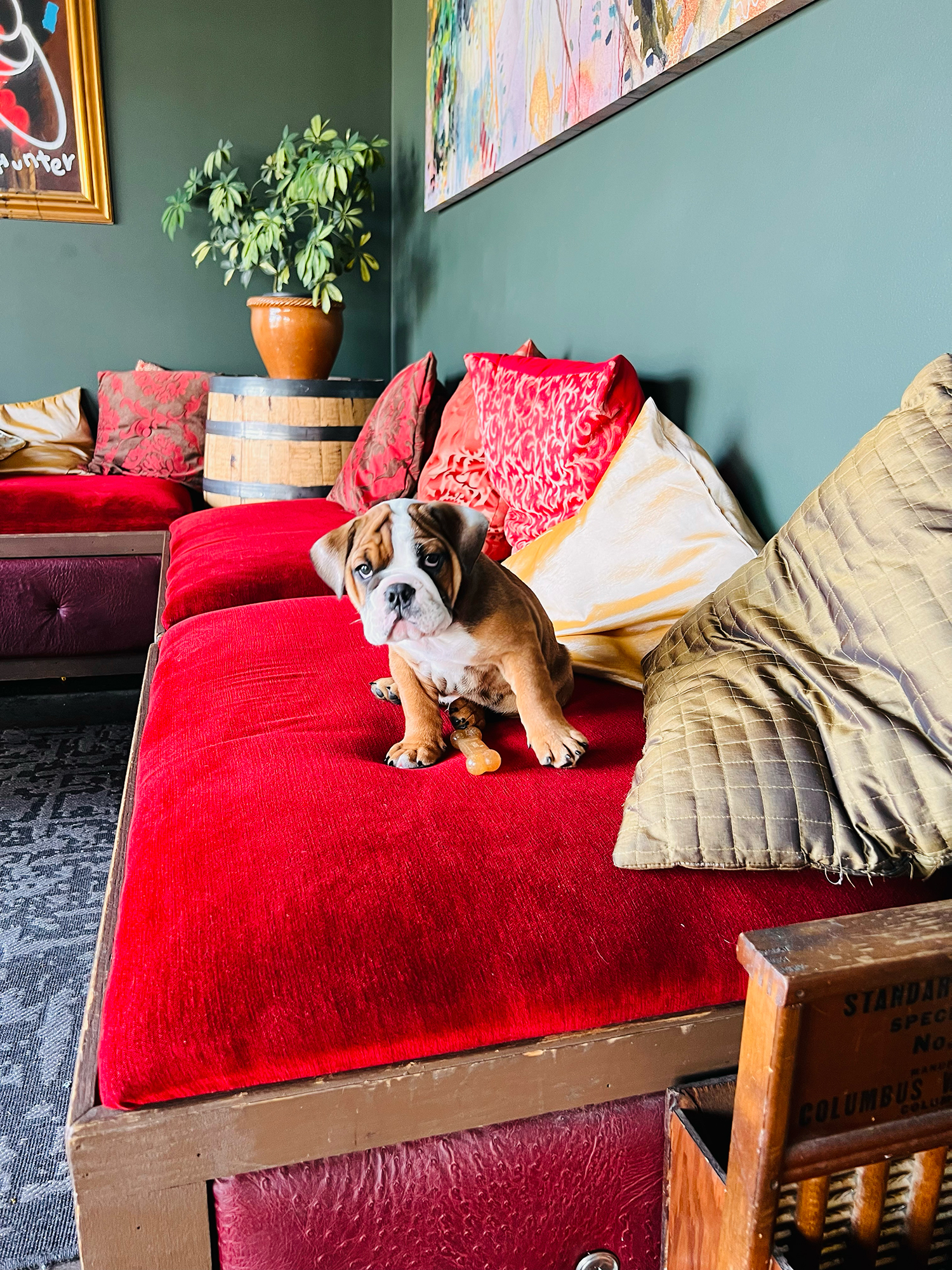 baby herb on coffee nook of Crown Station