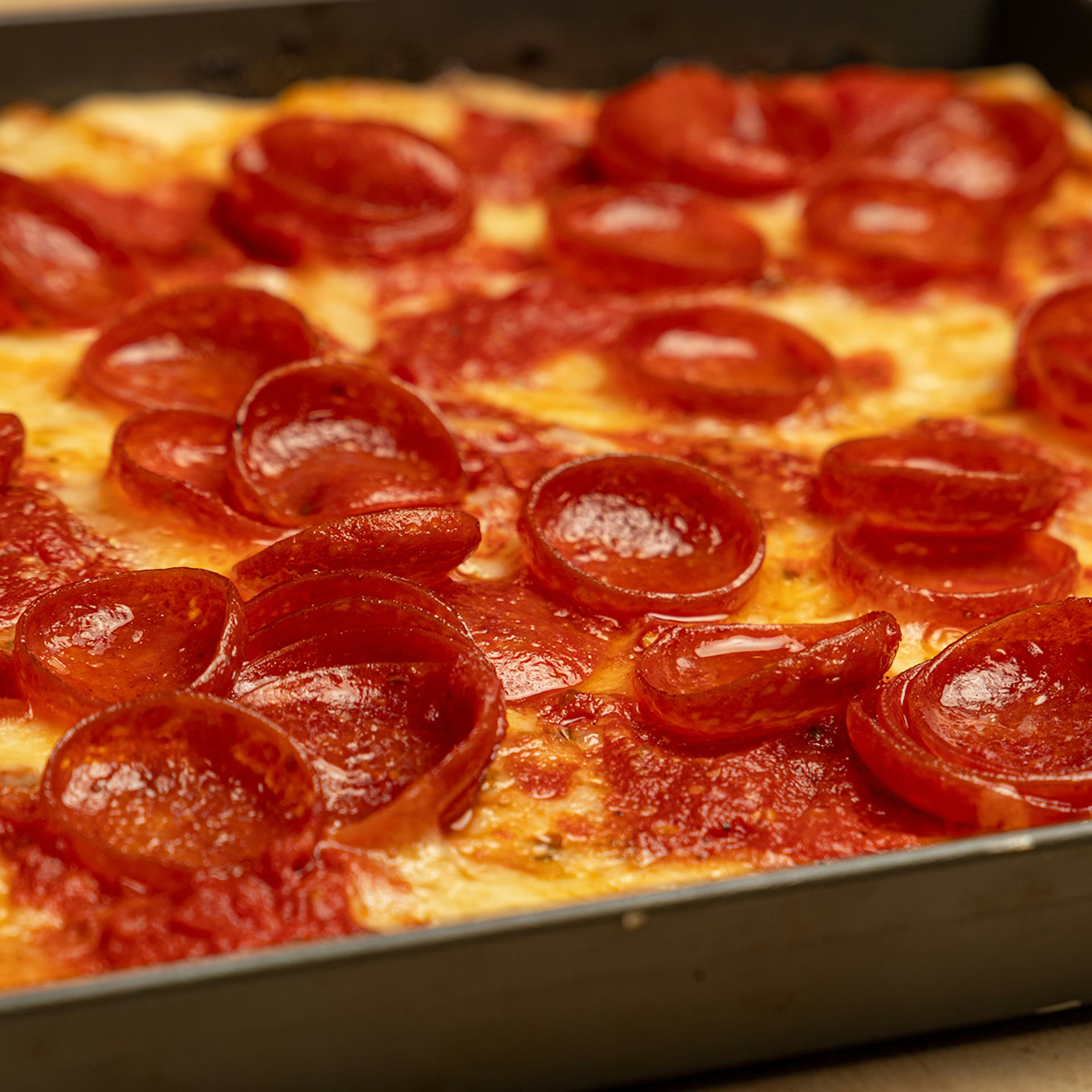 a pizza in a pan