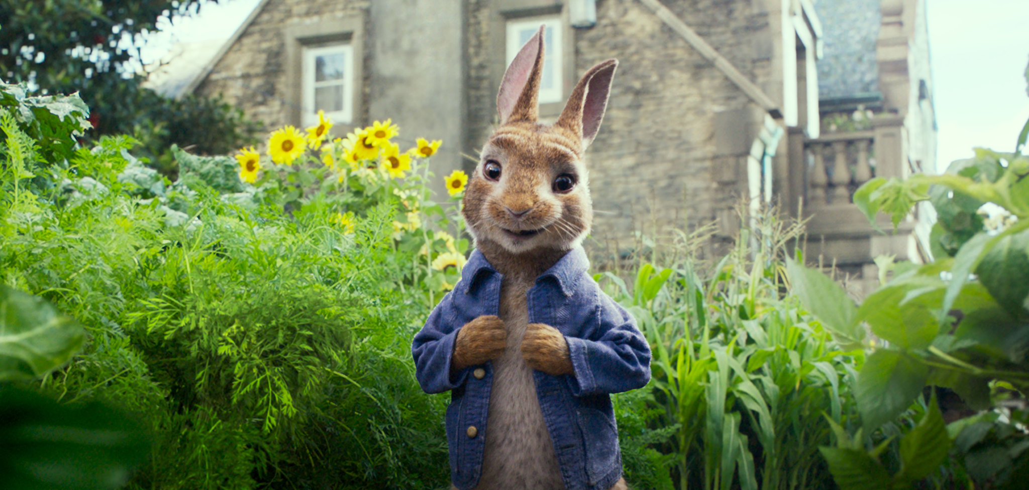 Movie Night - Peter Rabbit | Bumble Brews Play Cafe | Cary + Raleigh, NC