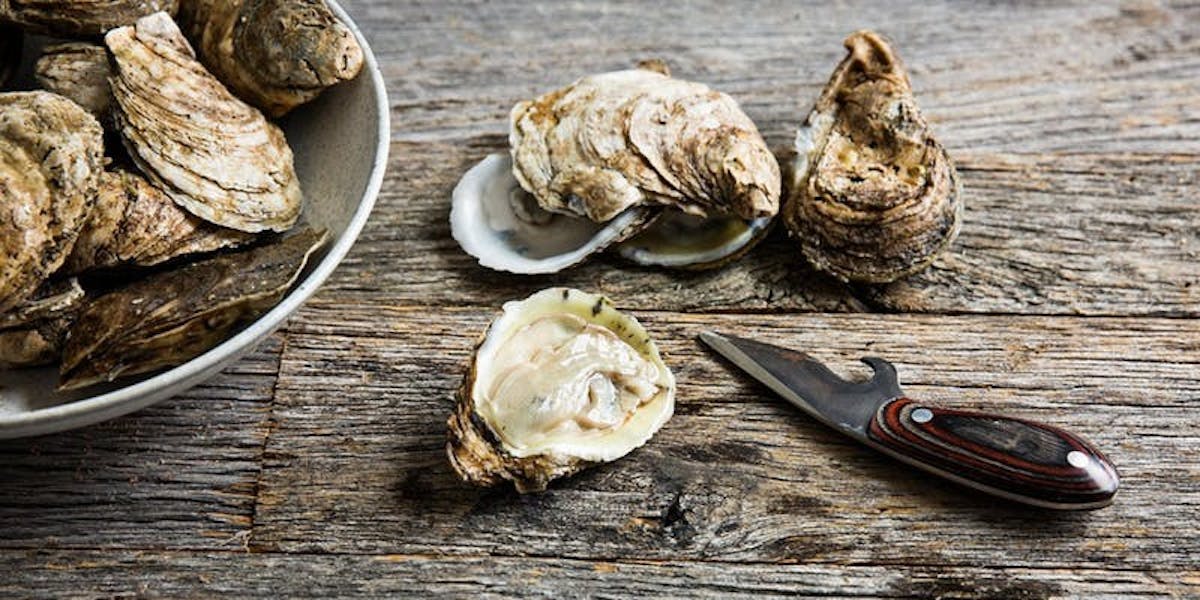 Fall Oyster Roast Mandolin