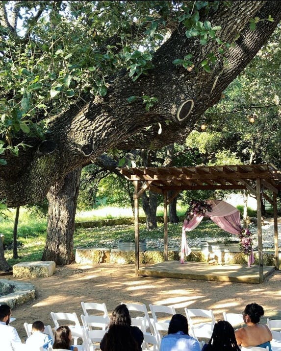 a group of people standing next to a tree