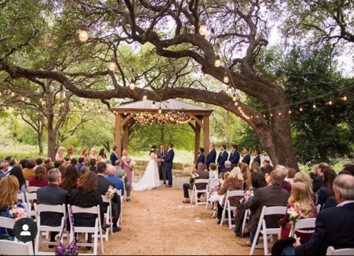 a group of people sitting in a tree