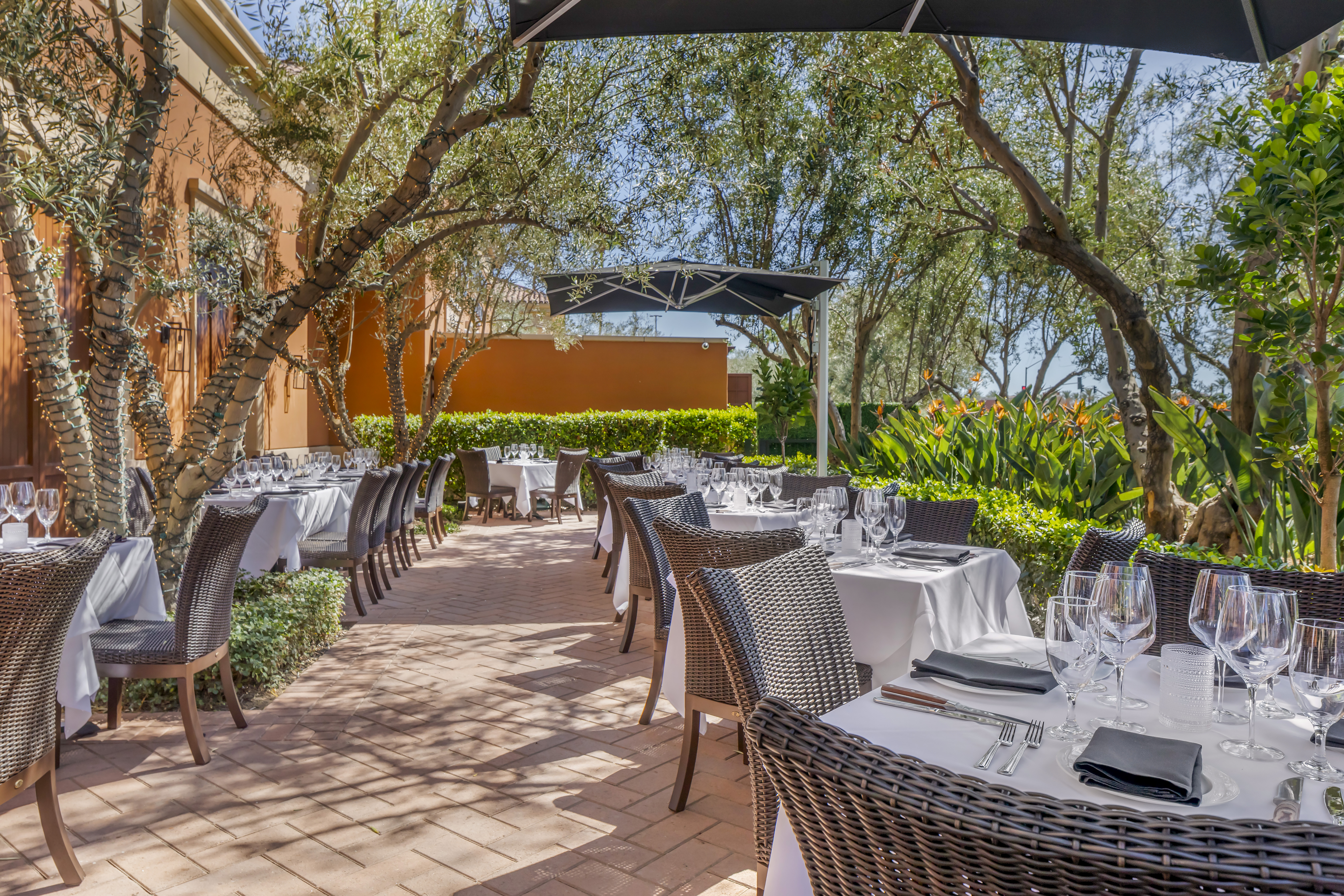 a group of palm trees on the side of a building