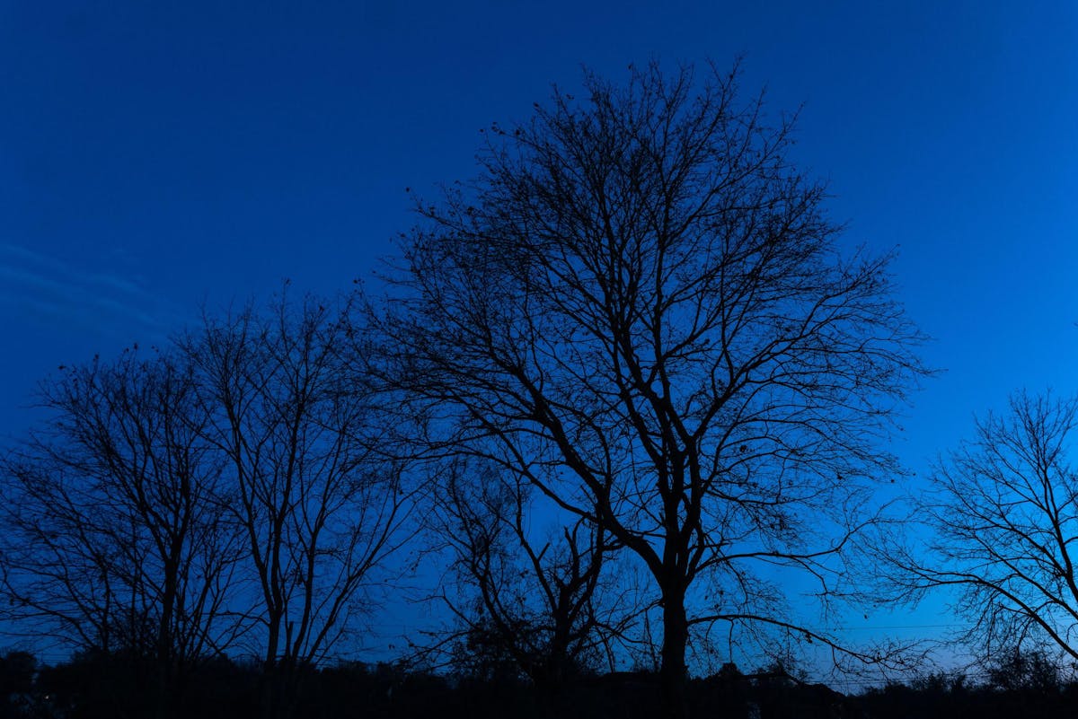 Dx sky
