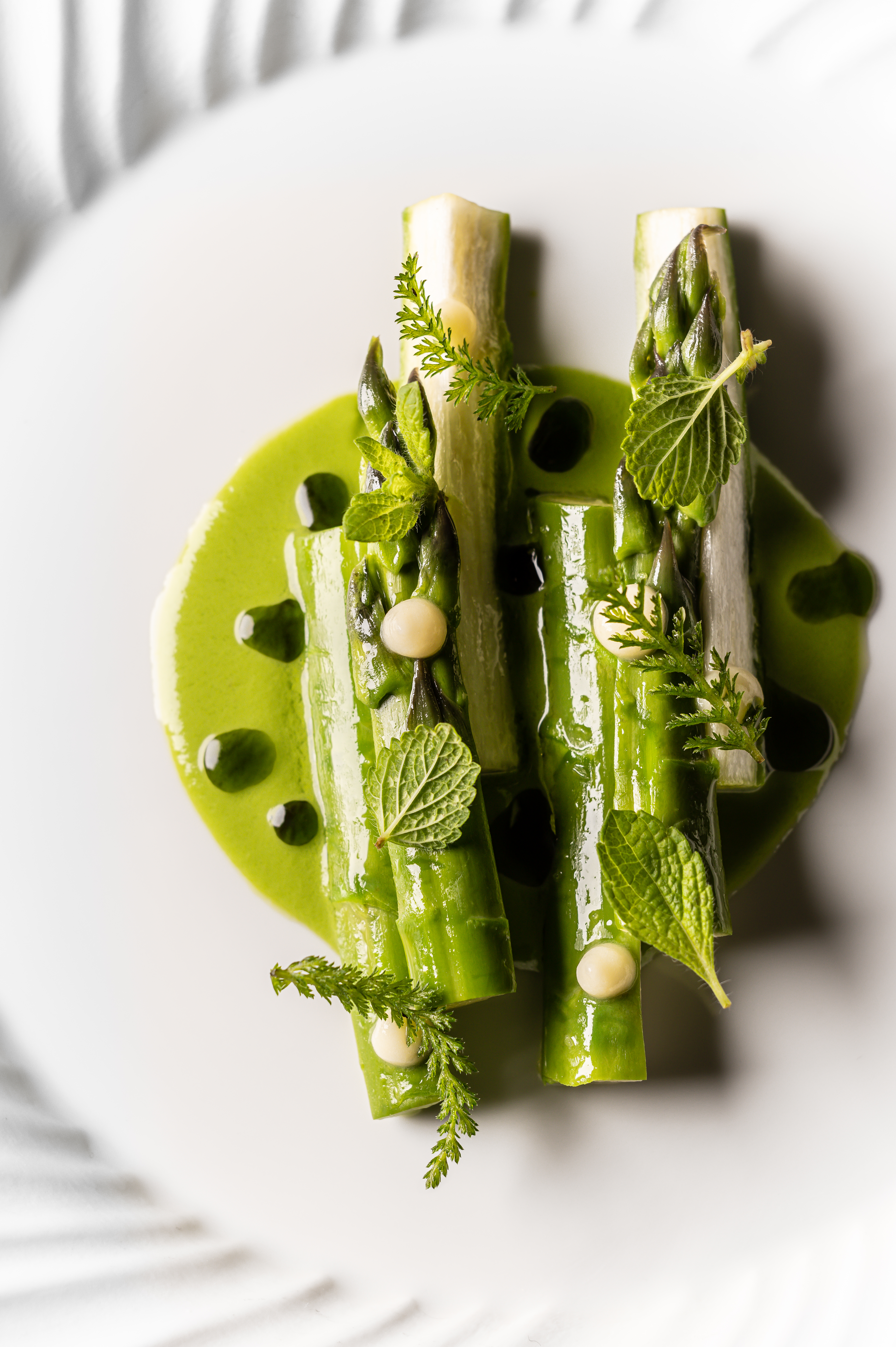a close up of a green plate
