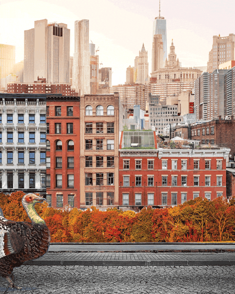 Join Us For Thanksgiving American Cut Steakhouse in New York