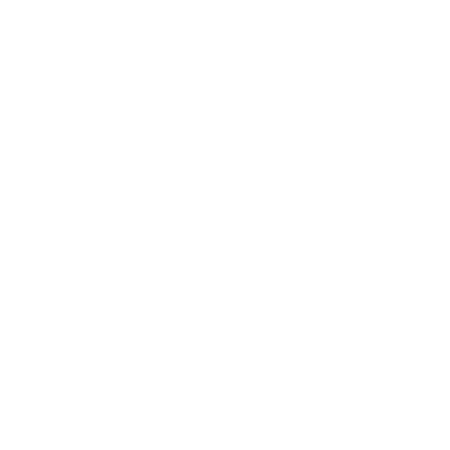 Stein Brewing Company